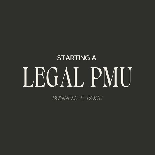 Starting a Legal PMU Business | E-book