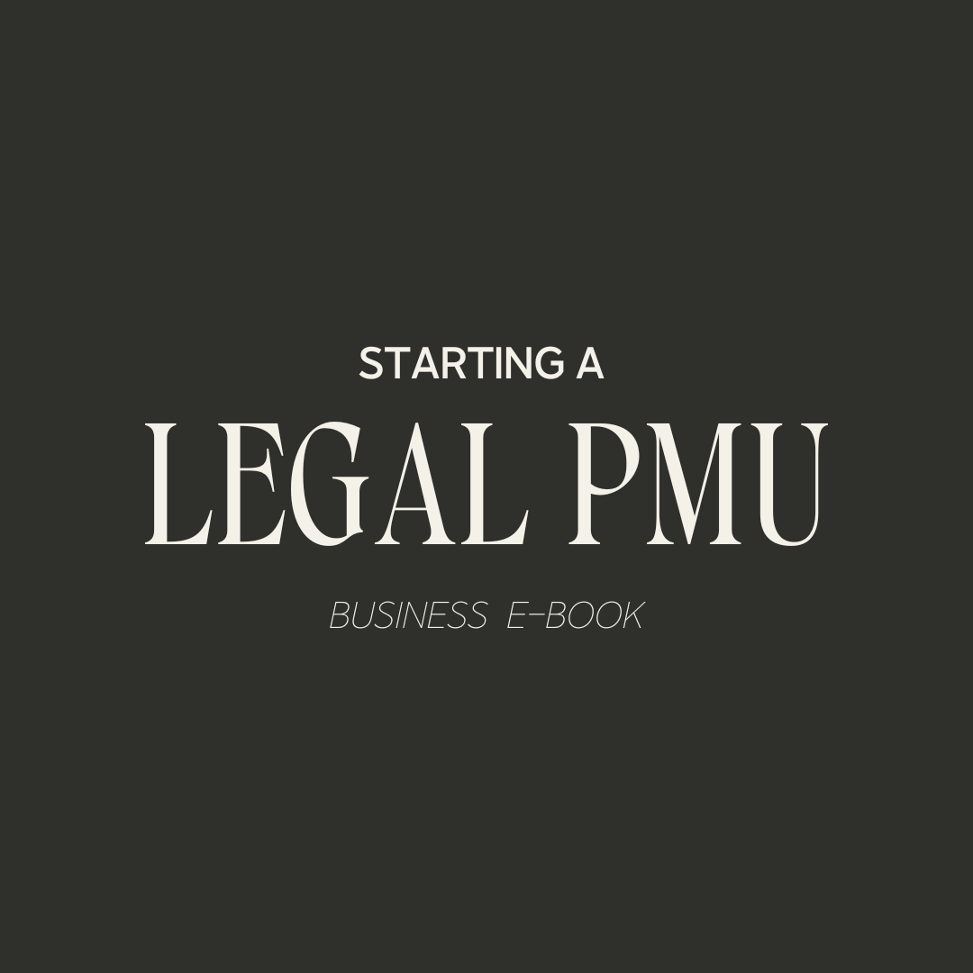 Starting a Legal PMU Business | E-book