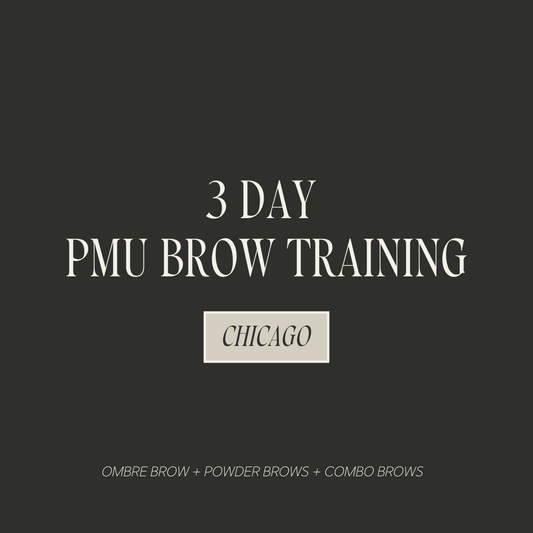 Chicago: 3 Day PMU Brow Training